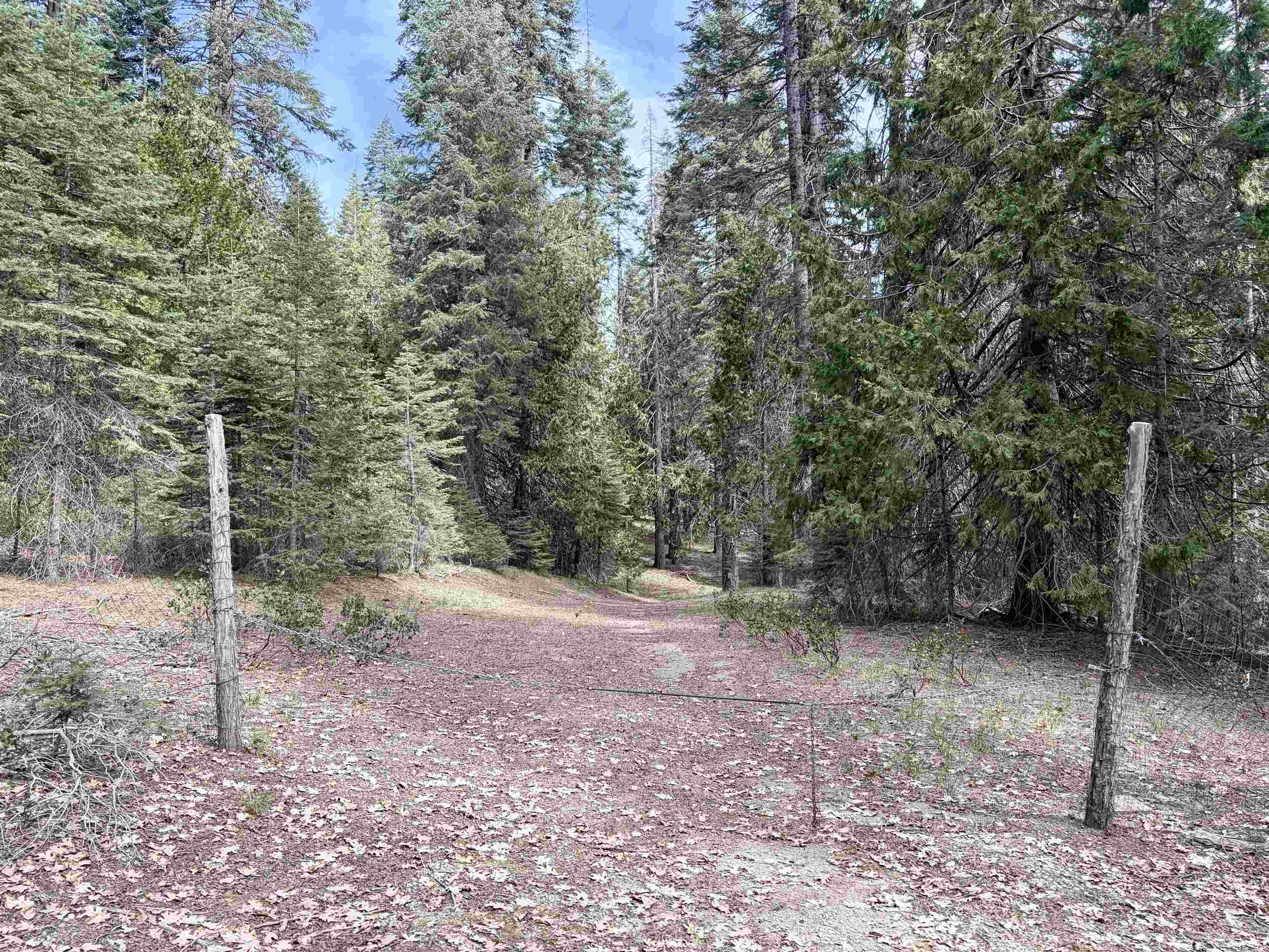 Land in McCloud