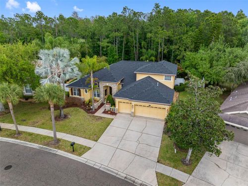16750 Ivy Lake Dr, ODESSA, FL, 33556-6020 | Card Image
