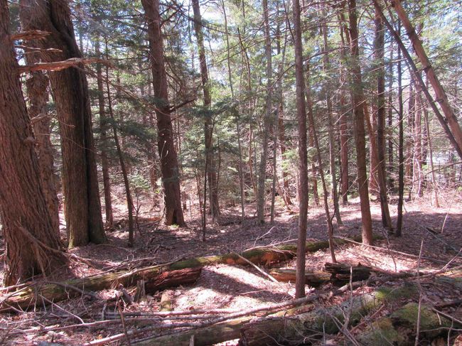 58 - 0 Stratton View Road, Home with 0 bedrooms, 0 bathrooms and null parking in Winhall VT | Image 8