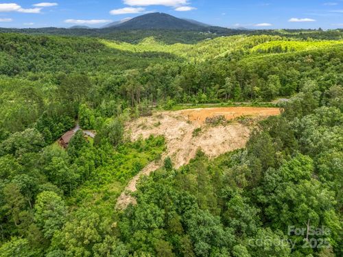 Lot 52 Shady Bark Ln, Rutherfordton, NC, 28139 | Card Image