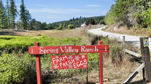 131 Country Lane Ln, Newport, WA, 99156 | Card Image