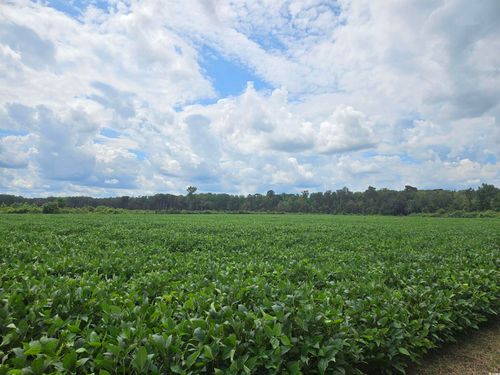 56 Farguson Rd., Nichols, SC, 29581 | Card Image
