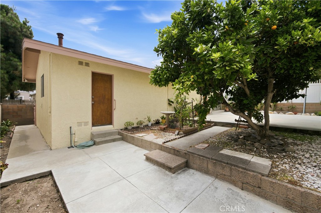 Residential Income in San Pedro 5