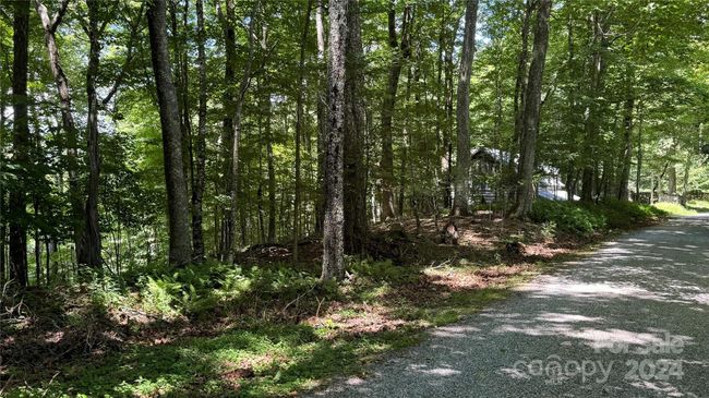 530 El Miner Dr, Home with 0 bedrooms, 0 bathrooms and null parking in Mars Hill NC | Image 12