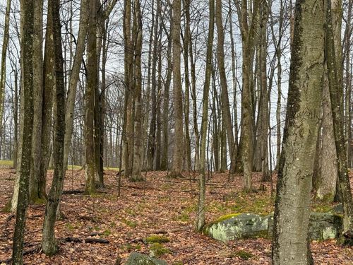 17 6 Shillings Rd, DU BOIS, PA, 15801 | Card Image