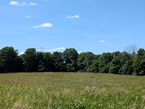 00 Ayres Rd, Gillett, PA, 16925 | Card Image