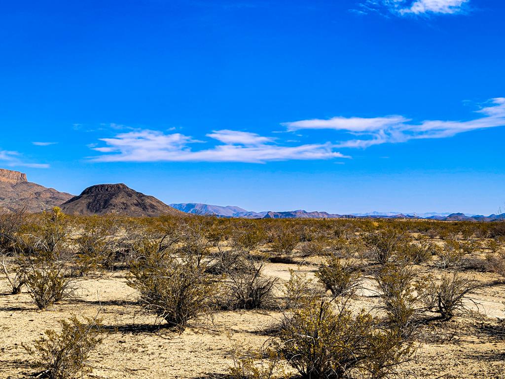 Land in Terlingua