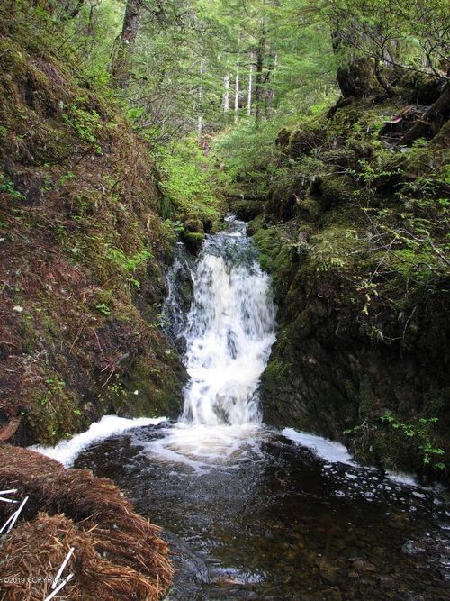 101 Cabin Ridge Rd, Cordova, AK, 99574 | Card Image