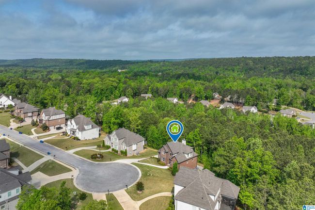 1025 Willow Branch Trl, House other with 4 bedrooms, 5 bathrooms and null parking in CHELSEA AL | Image 60