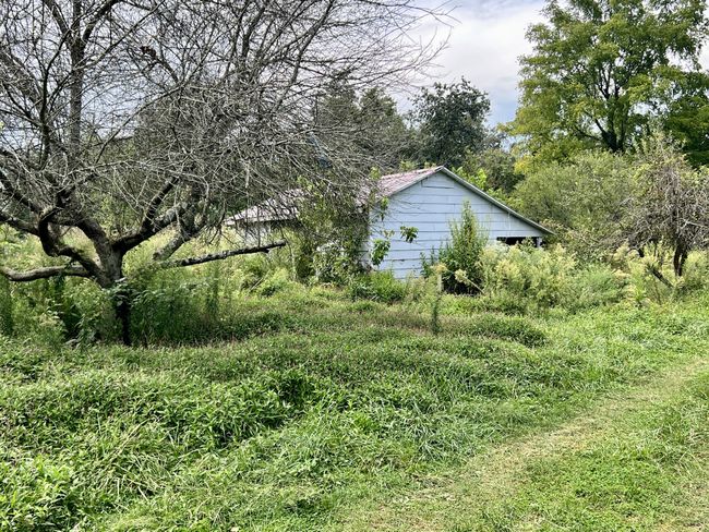 254 Isham Rd W, House other with 3 bedrooms, 2 bathrooms and 3 parking in Winfield TN | Image 44