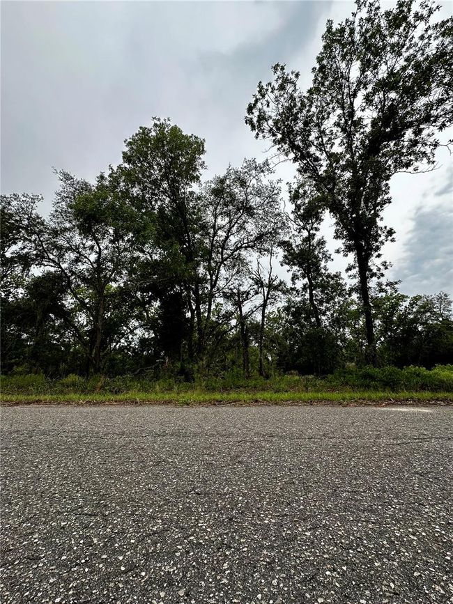 Lot 2 Guava Pl, Home with 0 bedrooms, 0 bathrooms and null parking in Ocklawaha FL | Image 4