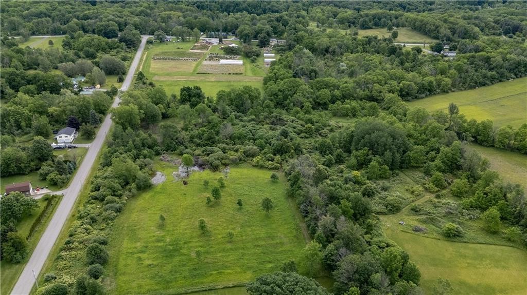 Land in Conesus 5