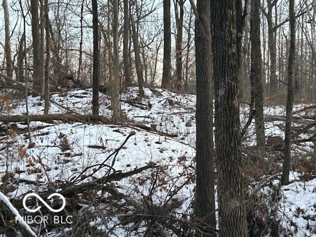 Interior Picture Of The Property, West Side Of The Road | Image 14