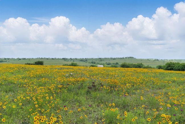 4500 White Settlement Rd, Home with 0 bedrooms, 0 bathrooms and null parking in Willow Park TX | Image 10