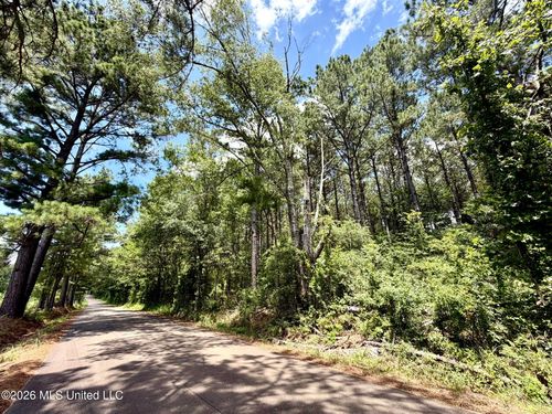 Xxx W Lincoln Drive, Smithdale, MS, 39664 | Card Image