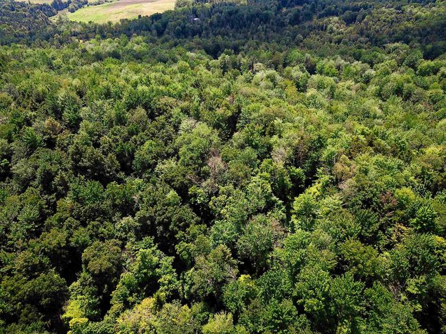 1730 Sinclair Rd, Home with 0 bedrooms, 0 bathrooms and null parking in Johnson VT | Image 8