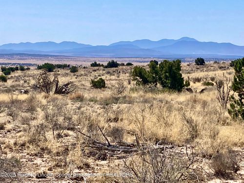 Lot 207 Tin Cup Rd, Carrizozo, NM, 88301 | Card Image