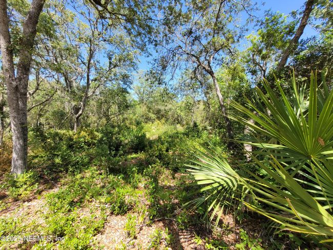 2155 State Road 40, Home with 0 bedrooms, 0 bathrooms and null parking in De Leon Springs FL | Image 79