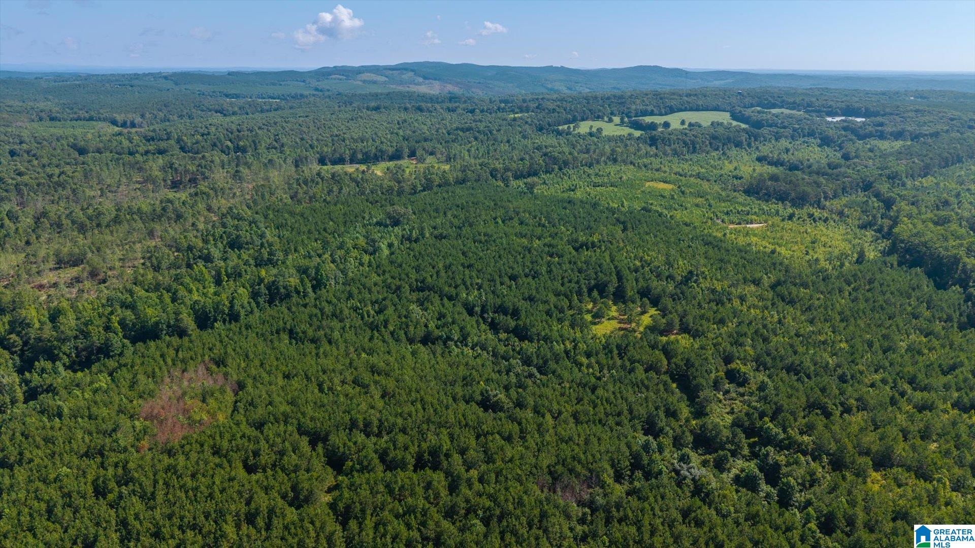 Land in HEFLIN 2