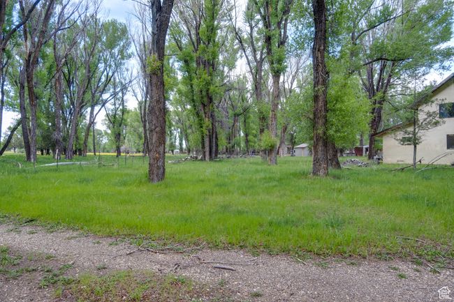 View of yard | Image 27