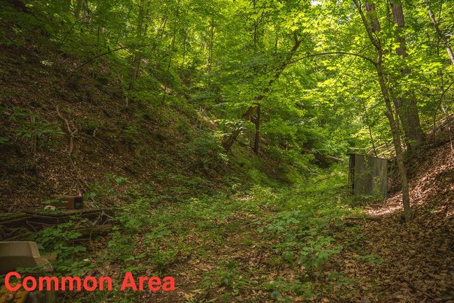 4042 Cabin Land Dr, Home with 3 bedrooms, 3 bathrooms and null parking in Radford VA | Image 45