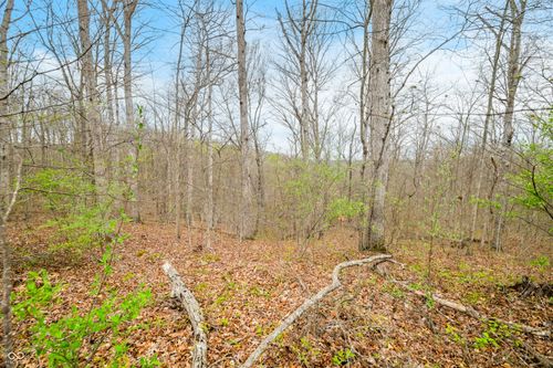 4100 Block of Lower Schooner Road, Nashville, IN, 47448 | Card Image
