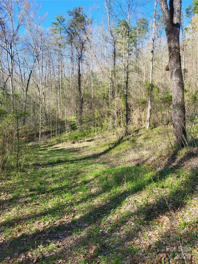 9999 Wayehutta Rd, Home with 0 bedrooms, 0 bathrooms and null parking in Cullowhee NC | Image 4