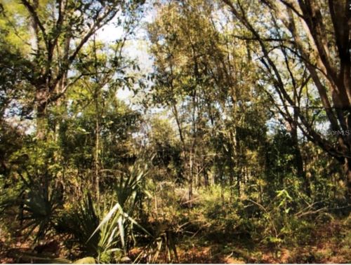 0 Ne 126th Ct, WILLISTON, FL, 32696 | Card Image