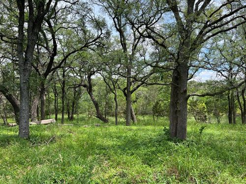 19pt-TBD Narrows Rd, Blanco, TX, 78606 | Card Image