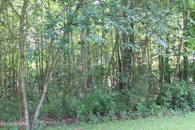 2122 Pickett Park Hwy, House other with 3 bedrooms, 2 bathrooms and null parking in Jamestown TN | Image 9