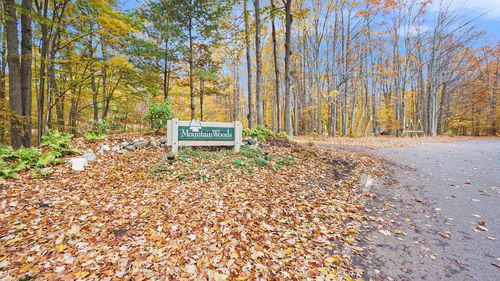 Lot 28 Mountain Woods Drive, Weldon Township, MI, 49683 | Card Image