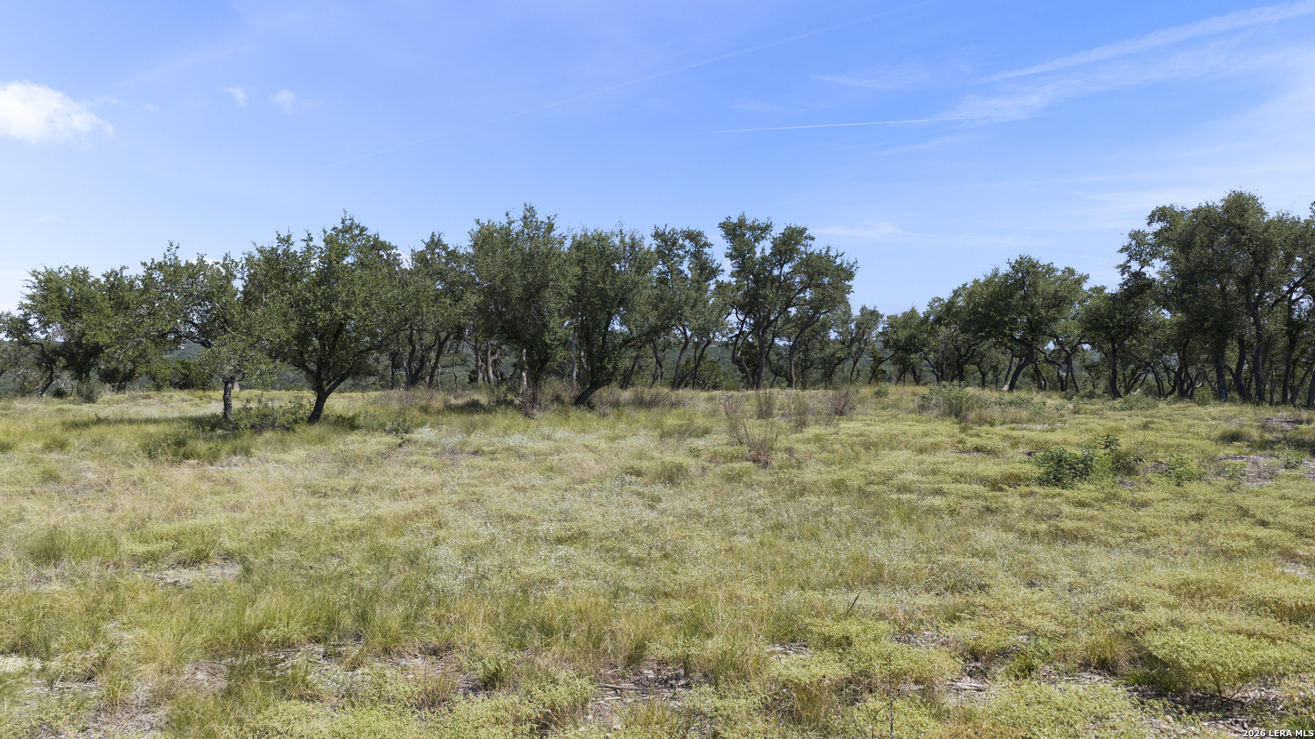 Land in Spring Branch 3