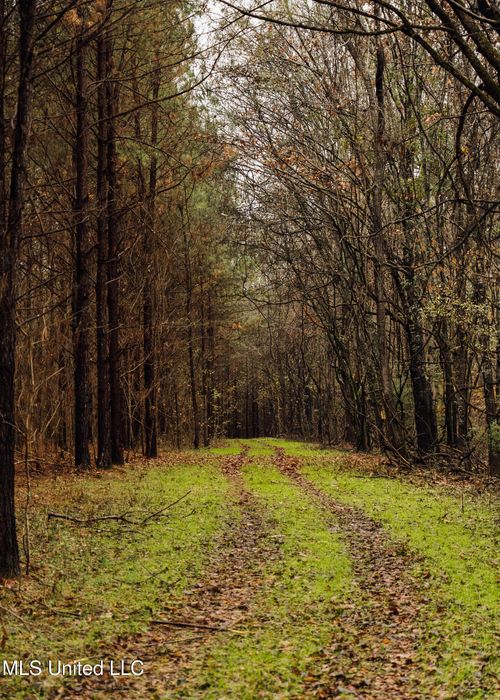 745 Black Jack Road, Benton, MS, 39039 | Card Image