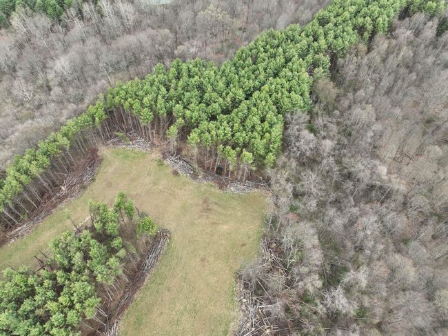 0 Don Wiley Rd, Home with 0 bedrooms, 0 bathrooms and null parking in Caldwell OH | Image 5