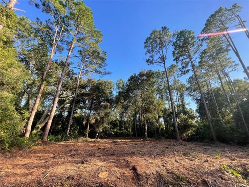 325 Redwood Blvd, Georgetown, FL, 32139-2713 | Card Image
