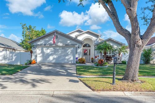 2616 Vinedale Ave, VALRICO, FL, 33596-7383 | Card Image