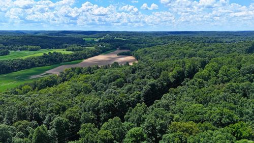 40 Acres 8669 Bird Lane, Shoals, IN, 47581-7370 | Card Image