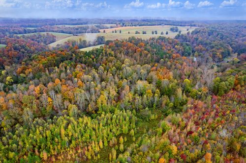 0 Ducktown Rd, Iron City, TN, 38463 | Card Image