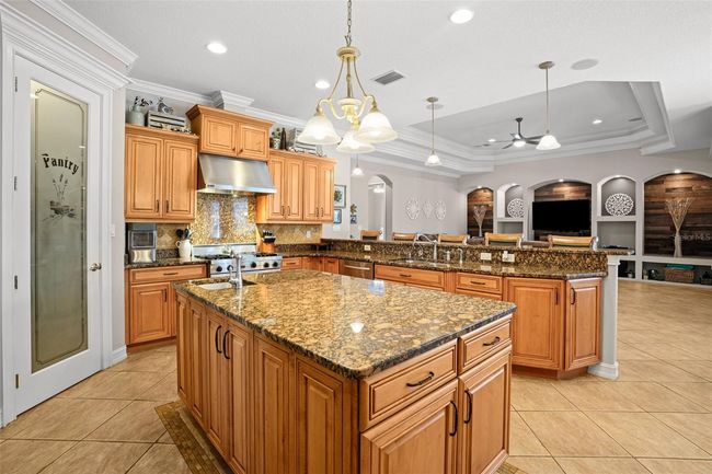 11518 Hammock Oaks Ct, House other with 4 bedrooms, 6 bathrooms and null parking in LITHIA FL | Image 10