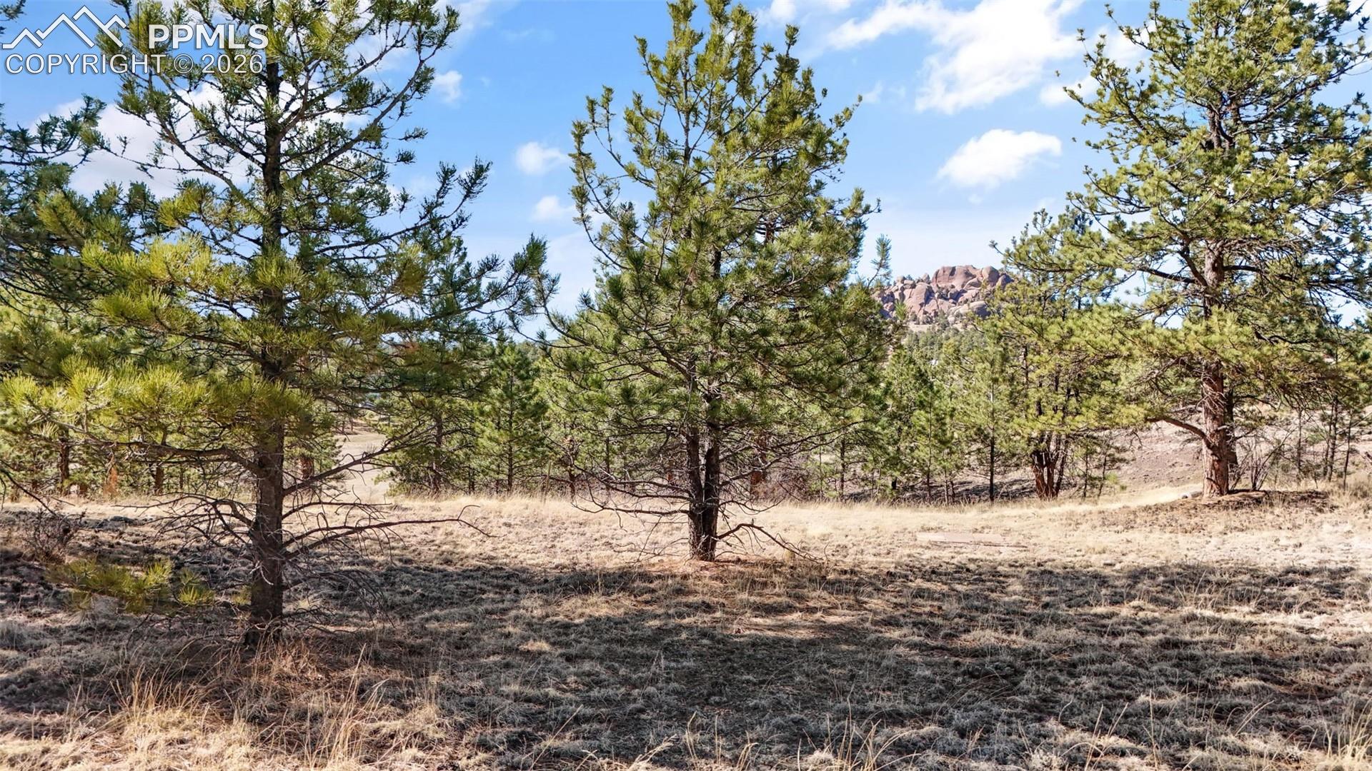 Land in Florissant 4