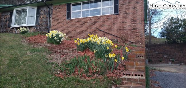 308 Hickory Mountain Rd, House other with 3 bedrooms, 2 bathrooms and null parking in Sparta NC | Image 21