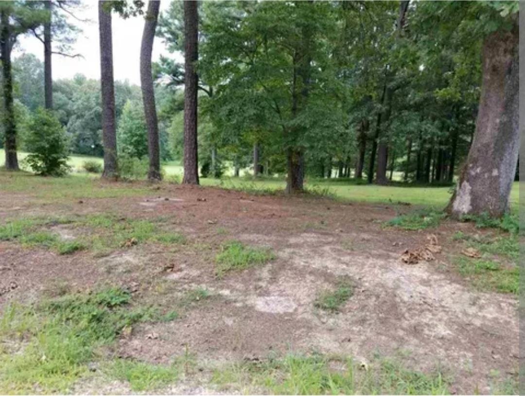 Land in Jackson 2