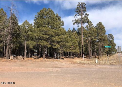 233-and-234-1960 Merryland Rd, Forest Lakes, AZ, 85931-0086 | Card Image