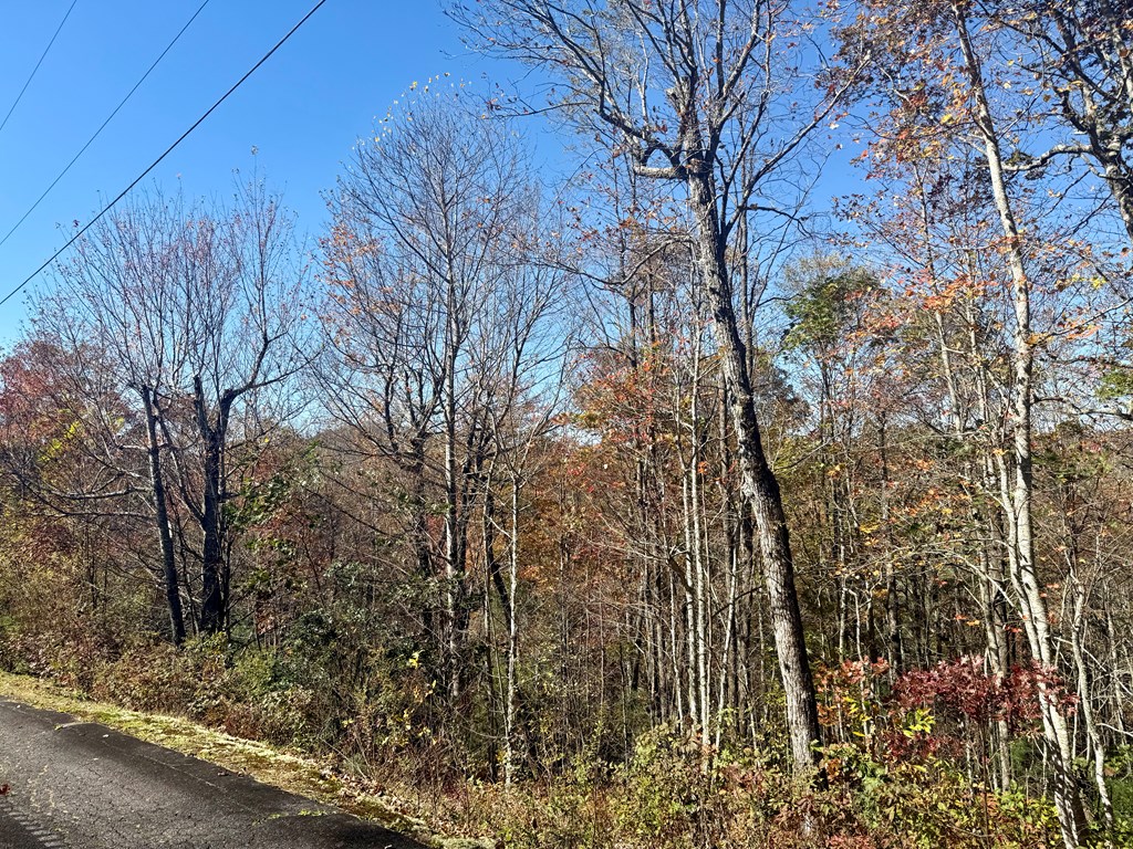 Land in Cashiers 5