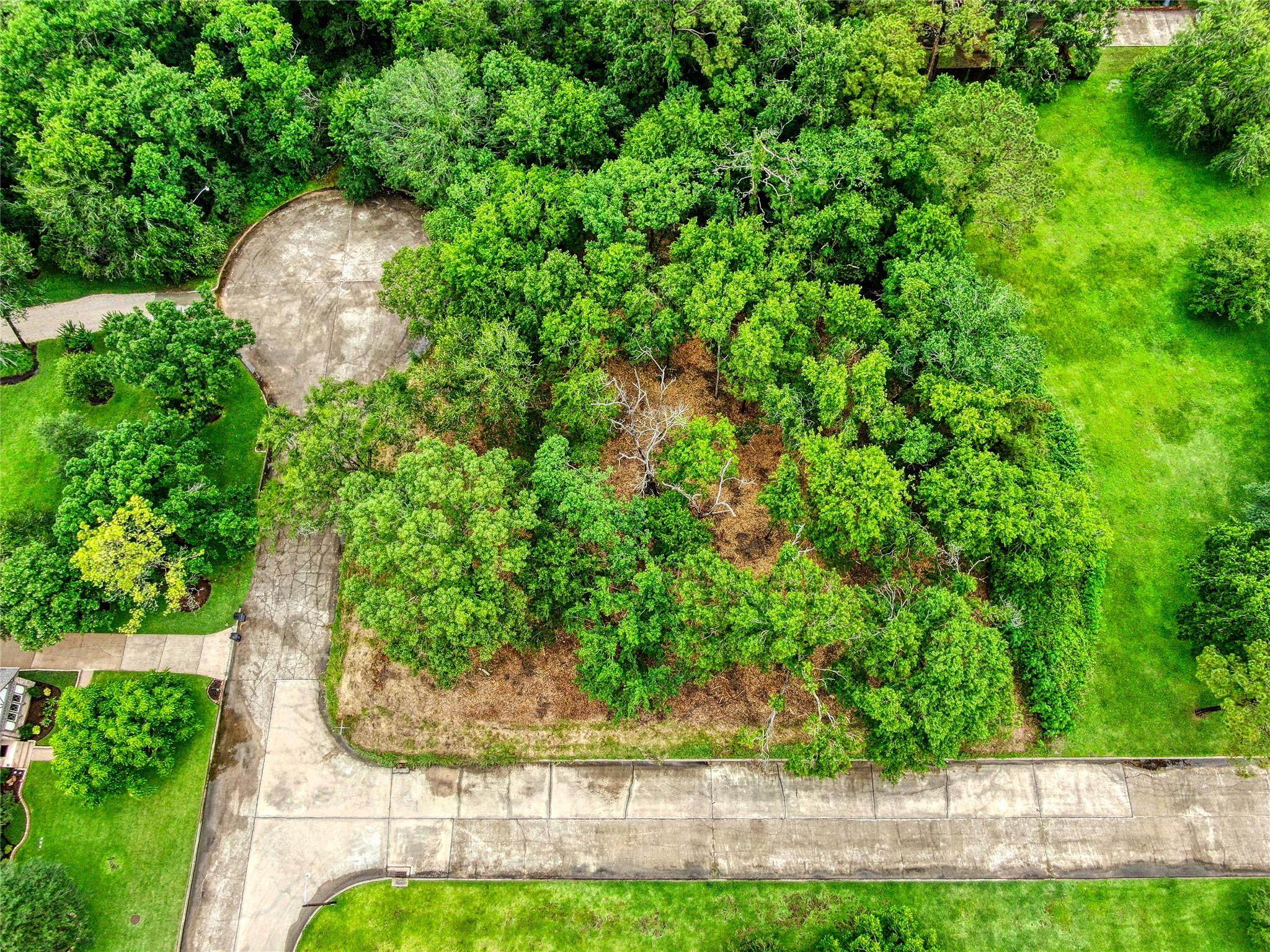 Land in Friendswood 3