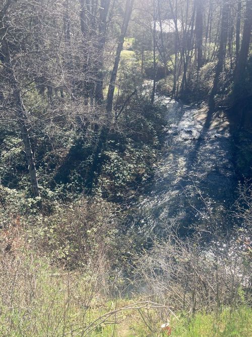 10 Brooks Ln, Weaverville, CA, 96093-8013 | Card Image