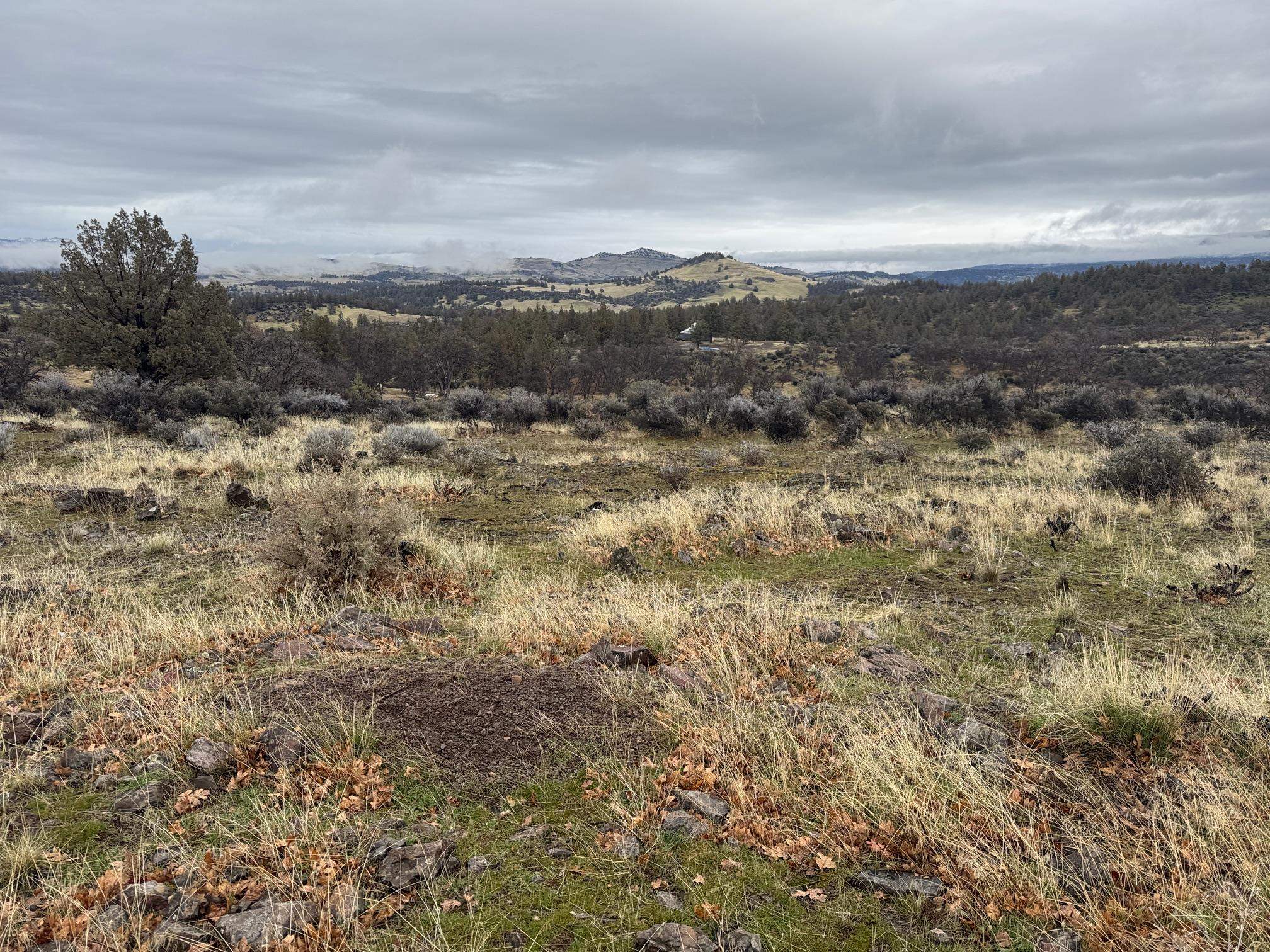Land in Montague 4
