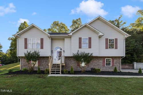 132 Elizabeth Ann Circle, Bluff City, TN, 37618 | Card Image