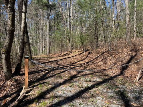 Lot 1 Bear Log Rd, Cashiers, NC, 28717 | Card Image