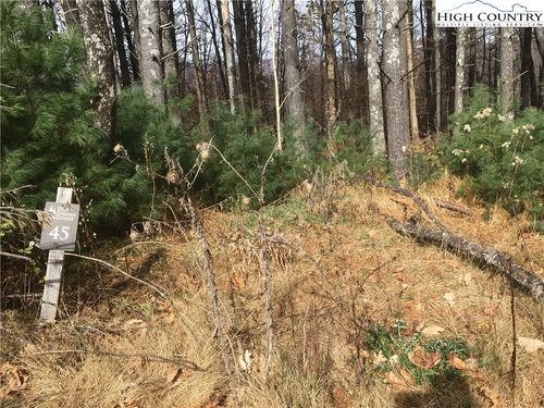 TBD Pine Springs Estates Road, Jefferson, NC, 28640 | Card Image